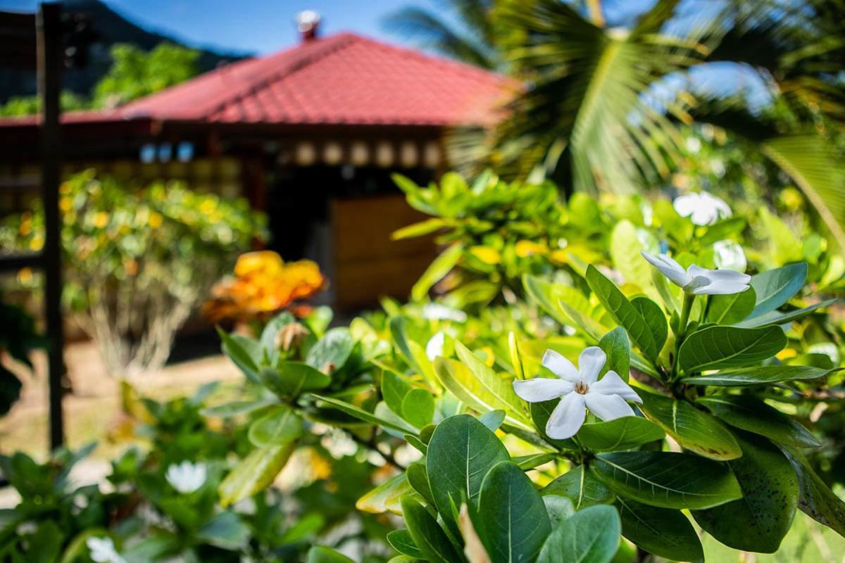 Raiatea Sur Mer Opoa Dış mekan fotoğraf