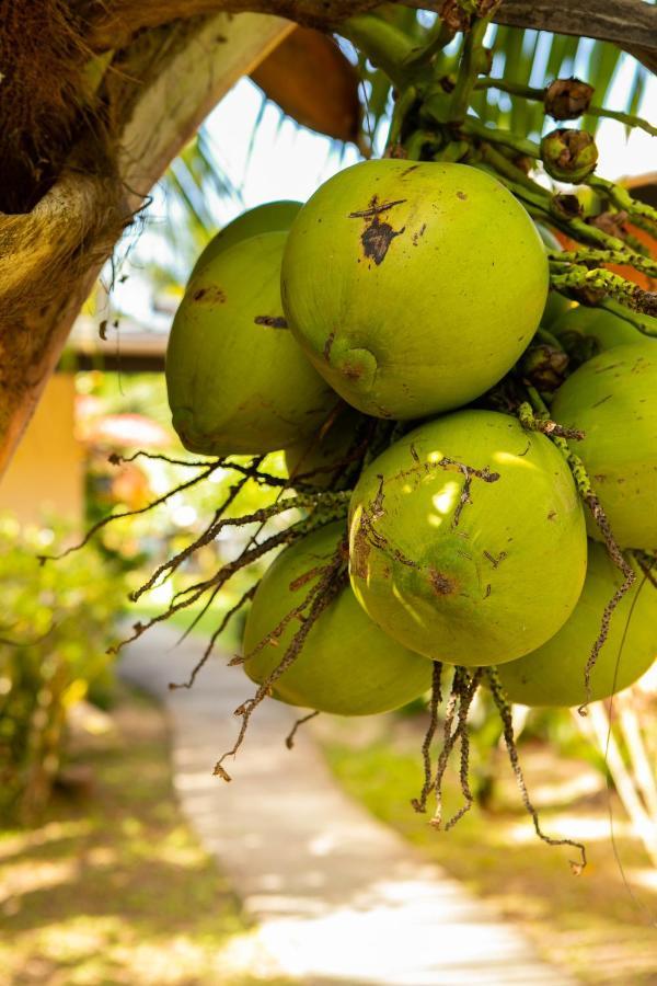 Raiatea Sur Mer Opoa Dış mekan fotoğraf