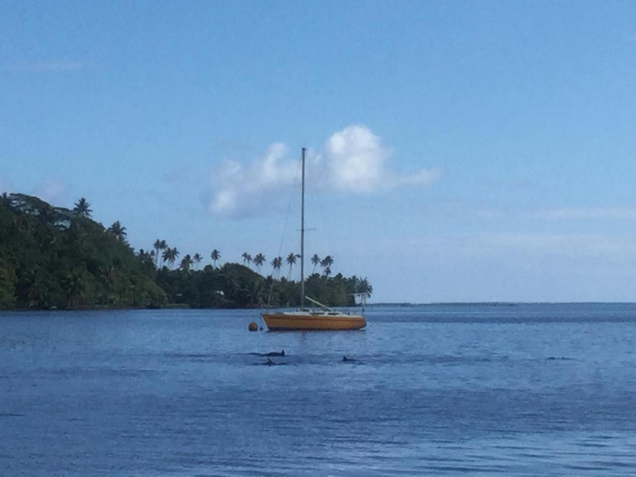 Raiatea Sur Mer Opoa Dış mekan fotoğraf